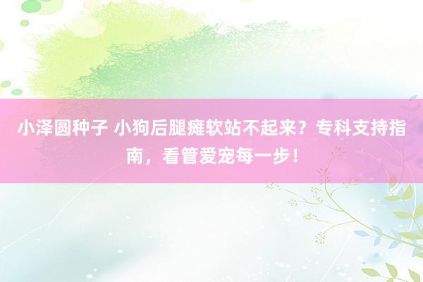 小泽圆种子 小狗后腿瘫软站不起来？专科支持指南，看管爱宠每一步！