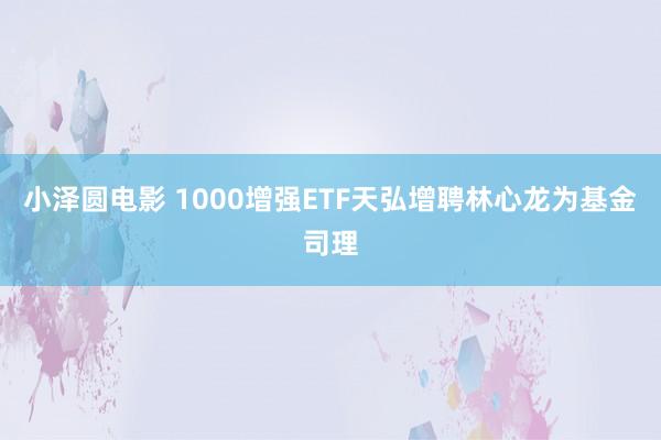 小泽圆电影 1000增强ETF天弘增聘林心龙为基金司理