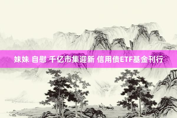 妹妹 自慰 千亿市集迎新 信用债ETF基金刊行