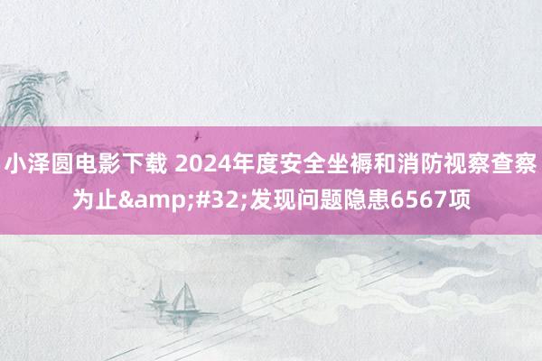 小泽圆电影下载 2024年度安全坐褥和消防视察查察为止&#32;发现问题隐患6567项