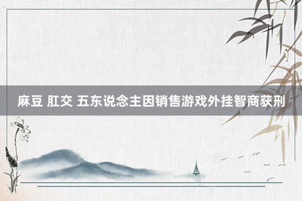 麻豆 肛交 五东说念主因销售游戏外挂智商获刑