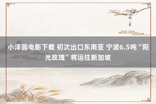小泽圆电影下载 初次出口东南亚 宁波6.5吨“阳光玫瑰”将运往新加坡