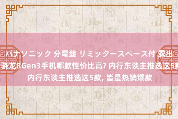 パナソニック 分電盤 リミッタースペース付 露出・半埋込両用形 骁龙8Gen3手机哪款性价比高? 内行东谈主推选这5款， 皆是热销爆款