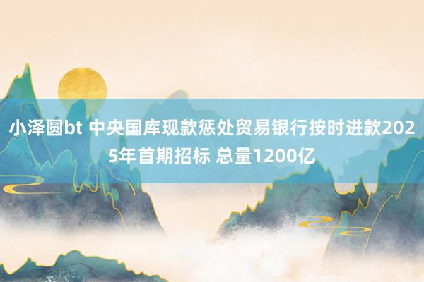 小泽圆bt 中央国库现款惩处贸易银行按时进款2025年首期招标 总量1200亿