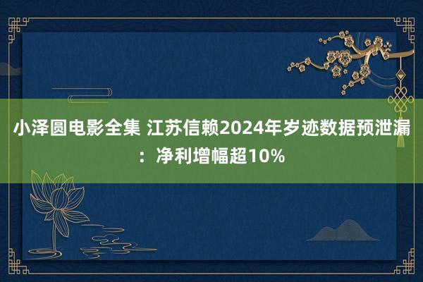 小泽圆电影全集 江苏信赖2024年岁迹数据预泄漏：净利增幅超10%