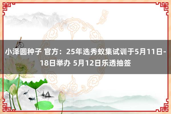小泽圆种子 官方：25年选秀蚁集试训于5月11日-18日举办 5月12日乐透抽签