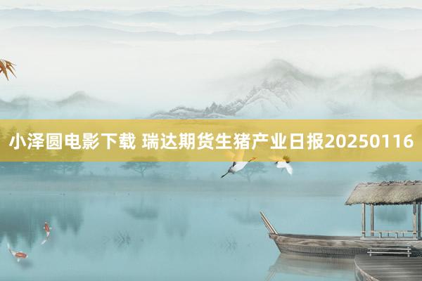 小泽圆电影下载 瑞达期货生猪产业日报20250116