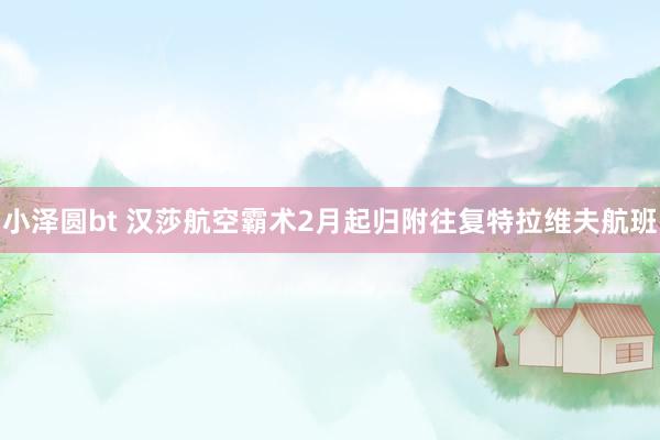 小泽圆bt 汉莎航空霸术2月起归附往复特拉维夫航班