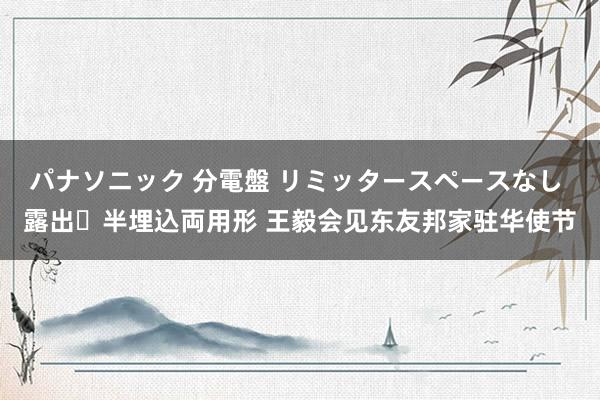 パナソニック 分電盤 リミッタースペースなし 露出・半埋込両用形 王毅会见东友邦家驻华使节