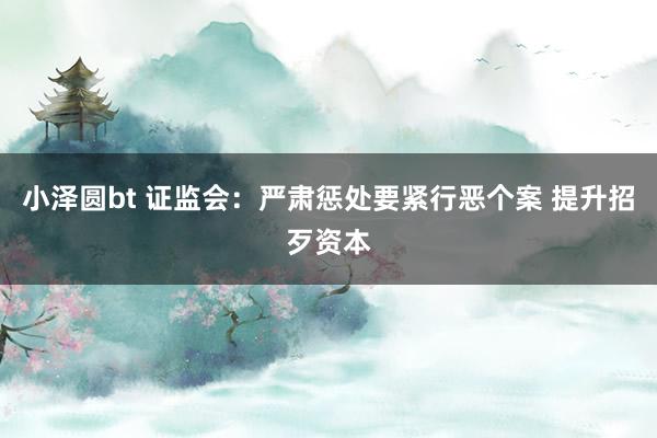 小泽圆bt 证监会：严肃惩处要紧行恶个案 提升招歹资本