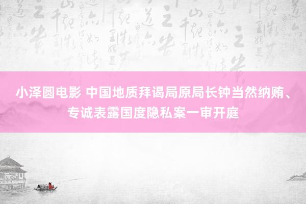 小泽圆电影 中国地质拜谒局原局长钟当然纳贿、专诚表露国度隐私案一审开庭