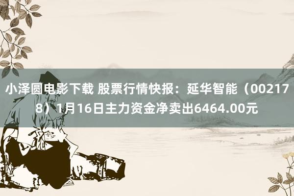 小泽圆电影下载 股票行情快报：延华智能（002178）1月16日主力资金净卖出6464.00元