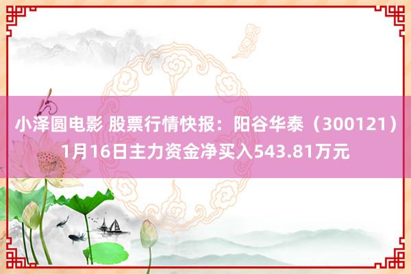 小泽圆电影 股票行情快报：阳谷华泰（300121）1月16日主力资金净买入543.81万元