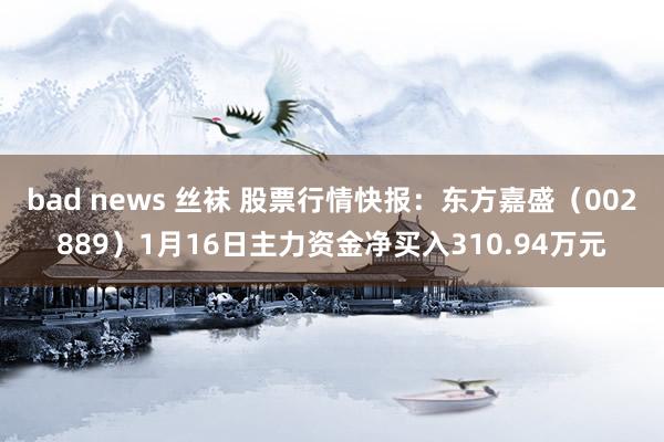 bad news 丝袜 股票行情快报：东方嘉盛（002889）1月16日主力资金净买入310.94万元