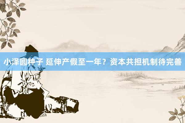小泽圆种子 延伸产假至一年？资本共担机制待完善
