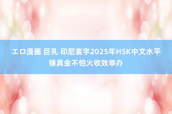 エロ漫画 巨乳 印尼寰宇2025年HSK中文水平锤真金不怕火收效举办