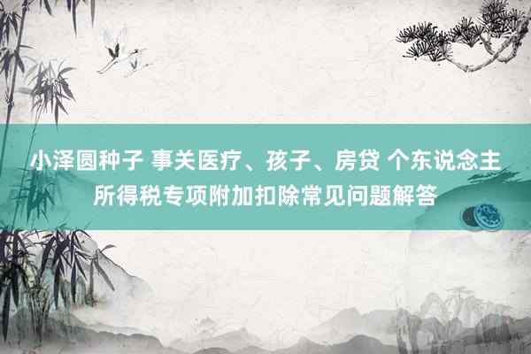 小泽圆种子 事关医疗、孩子、房贷 个东说念主所得税专项附加扣除常见问题解答