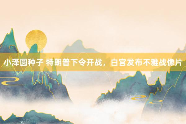 小泽圆种子 特朗普下令开战，白宫发布不雅战像片