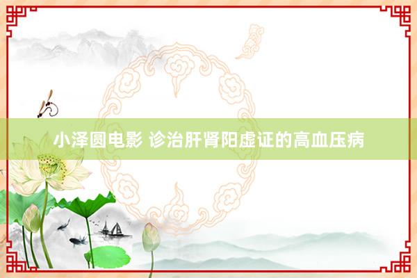 小泽圆电影 诊治肝肾阳虚证的高血压病