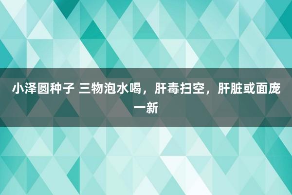 小泽圆种子 三物泡水喝，肝毒扫空，肝脏或面庞一新