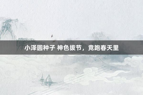 小泽圆种子 神色拔节，竞跑春天里