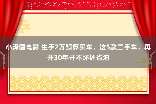 小泽圆电影 生手2万预算买车，这5款二手车，再开30年开不坏还省油