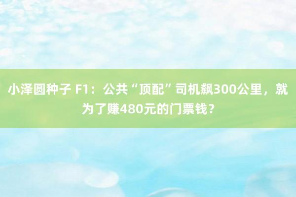 小泽圆种子 F1：公共“顶配”司机飙300公里，就为了赚480元的门票钱？