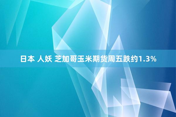 日本 人妖 芝加哥玉米期货周五跌约1.3%