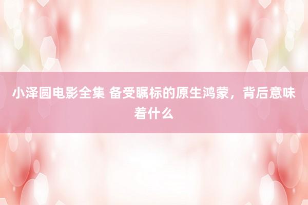 小泽圆电影全集 备受瞩标的原生鸿蒙，背后意味着什么