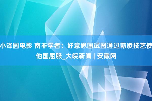 小泽圆电影 南非学者：好意思国试图通过霸凌技艺使他国屈服_大皖新闻 | 安徽网
