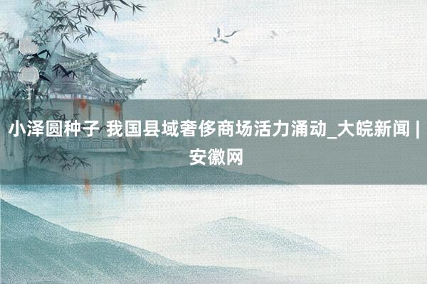 小泽圆种子 我国县域奢侈商场活力涌动_大皖新闻 | 安徽网