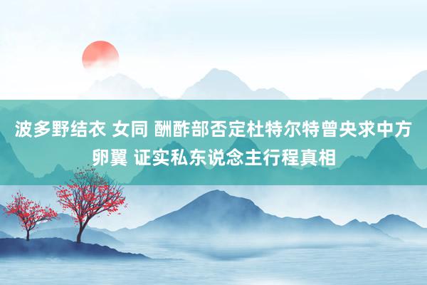 波多野结衣 女同 酬酢部否定杜特尔特曾央求中方卵翼 证实私东说念主行程真相