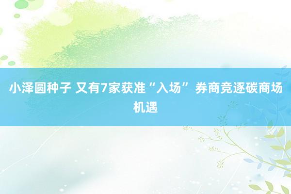 小泽圆种子 又有7家获准“入场” 券商竞逐碳商场机遇