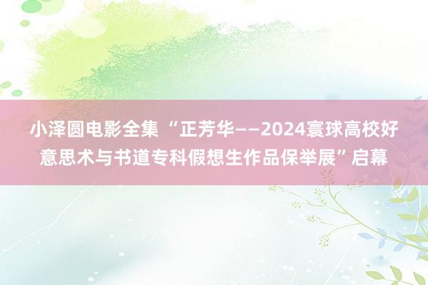 小泽圆电影全集 “正芳华——2024寰球高校好意思术与书道专科假想生作品保举展”启幕