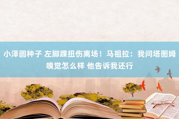 小泽圆种子 左脚踝扭伤离场！马祖拉：我问塔图姆嗅觉怎么样 他告诉我还行