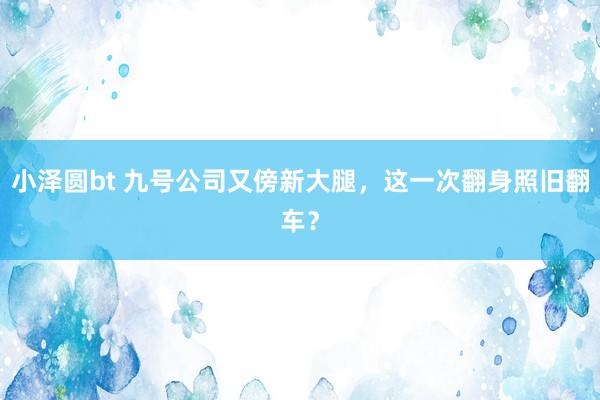 小泽圆bt 九号公司又傍新大腿，这一次翻身照旧翻车？