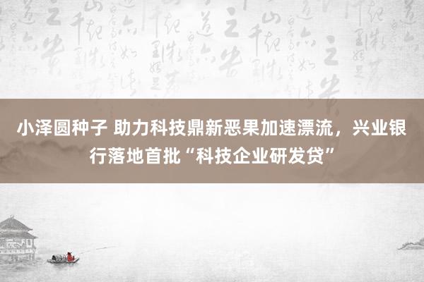 小泽圆种子 助力科技鼎新恶果加速漂流，兴业银行落地首批“科技企业研发贷”