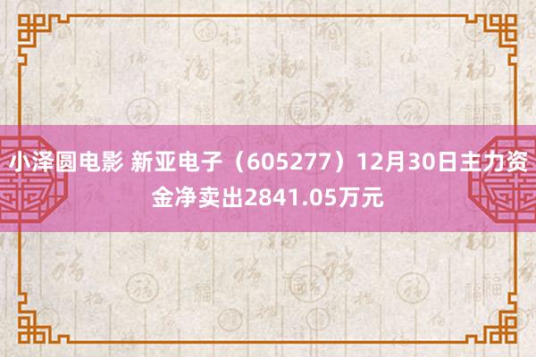 小泽圆电影 新亚电子（605277）12月30日主力资金净卖出2841.05万元