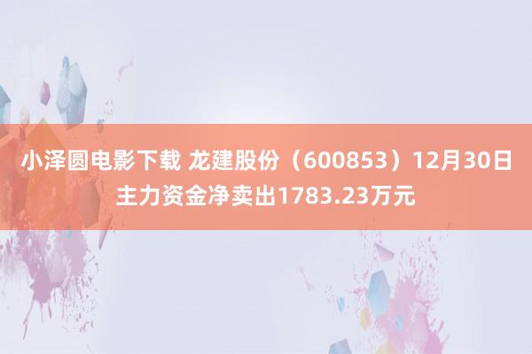 小泽圆电影下载 龙建股份（600853）12月30日主力资金净卖出1783.23万元