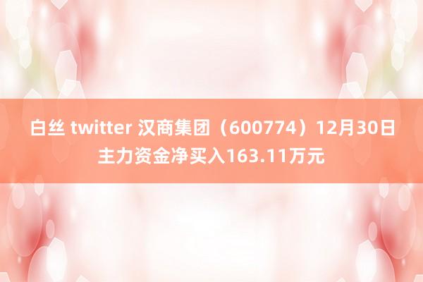 白丝 twitter 汉商集团（600774）12月30日主力资金净买入163.11万元