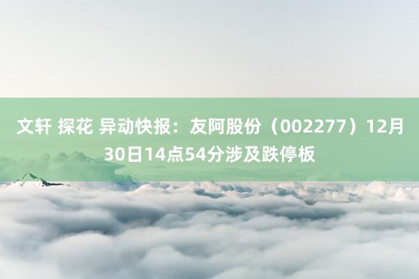 文轩 探花 异动快报：友阿股份（002277）12月30日14点54分涉及跌停板