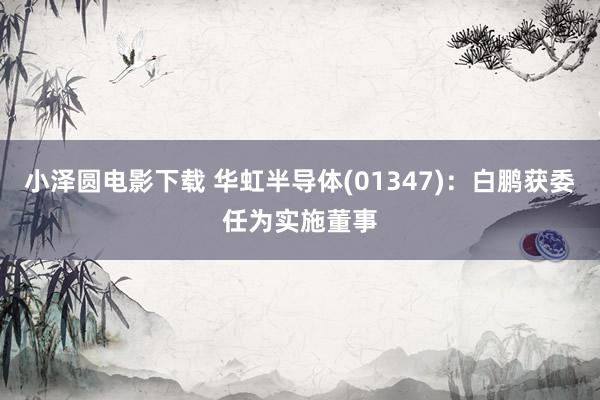 小泽圆电影下载 华虹半导体(01347)：白鹏获委任为实施董事