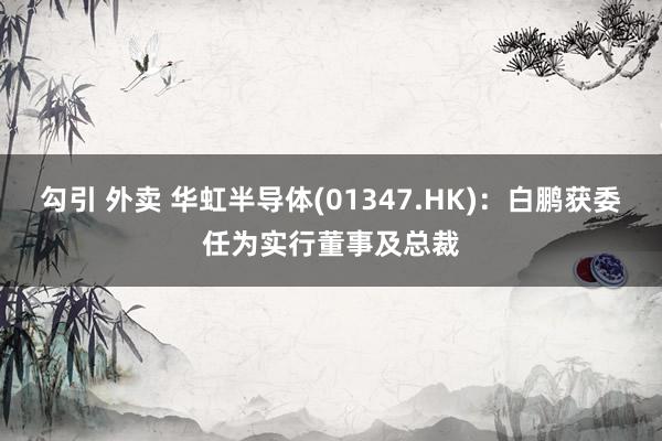 勾引 外卖 华虹半导体(01347.HK)：白鹏获委任为实行董事及总裁