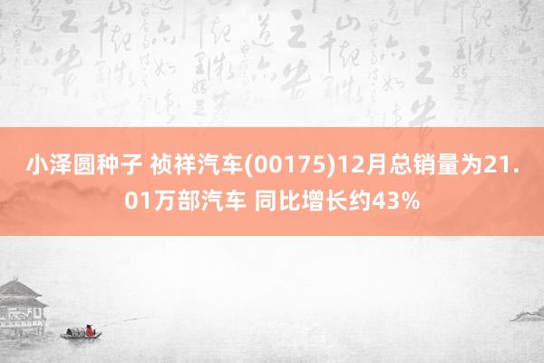 小泽圆种子 祯祥汽车(00175)12月总销量为21.01万部汽车 同比增长约43%