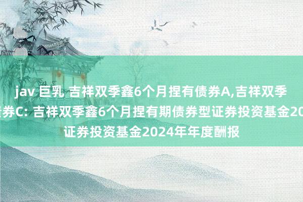 jav 巨乳 吉祥双季鑫6个月捏有债券A,吉祥双季鑫6个月捏有债券C: 吉祥双季鑫6个月捏有期债券型证券投资基金2024年年度酬报