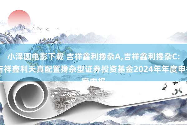小泽圆电影下载 吉祥鑫利搀杂A,吉祥鑫利搀杂C: 吉祥鑫利天真配置搀杂型证券投资基金2024年年度申报