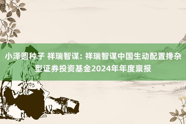 小泽圆种子 祥瑞智谋: 祥瑞智谋中国生动配置搀杂型证券投资基金2024年年度禀报