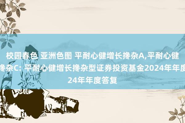 校园春色 亚洲色图 平耐心健增长搀杂A,平耐心健增长搀杂C: 平耐心健增长搀杂型证券投资基金2024年年度答复