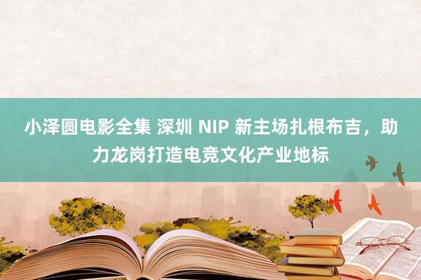 小泽圆电影全集 深圳 NIP 新主场扎根布吉，助力龙岗打造电竞文化产业地标
