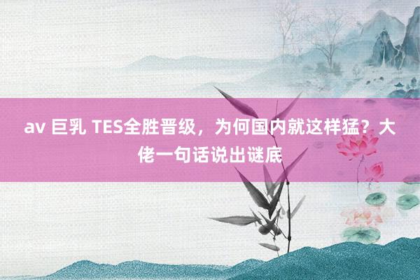 av 巨乳 TES全胜晋级，为何国内就这样猛？大佬一句话说出谜底